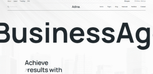 Adina Business Finance React Jstemplate